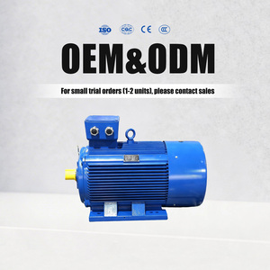 Wide Range 0.75-315kW IP54 Cast Iron 3 Phase IE3 Inverter Duty Motor