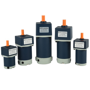 High Torque Single Phase AC Induction Gear Motor