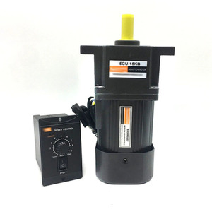 110/220/380V Single Phase Induction Micro AC Geared Motor