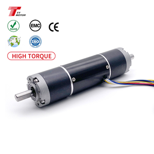 36mm 12v 24v High Torque Custom Dual Shaft Motor