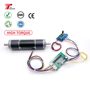 36mm Planetary Gearbox Dual Shaft 24V DC Motor